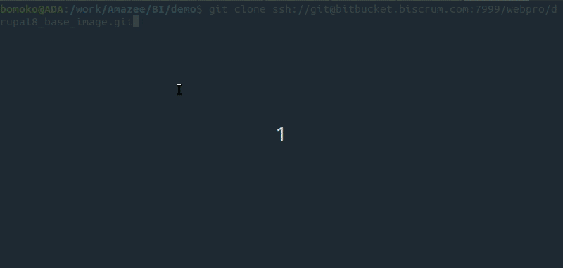 Running `git clone` on the base image repository.